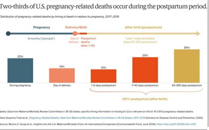 
4 in 5 US pregnancy-related deaths are ‘preventable’: CDC 