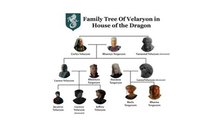 
Actor Vaemond Velaryon Death Cause: House Velaryon History And Family Tree 