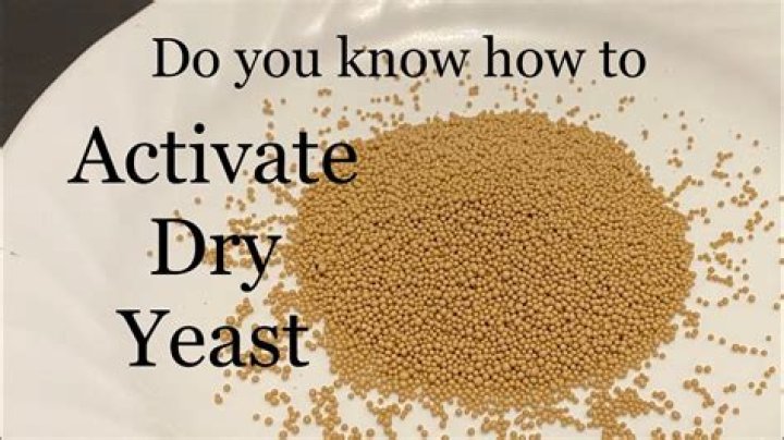 Are active dry yeast?