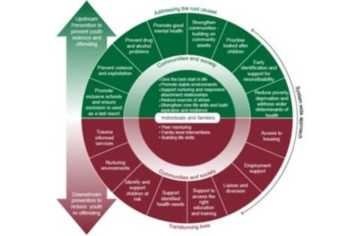 Are offending behaviour programmes effective?