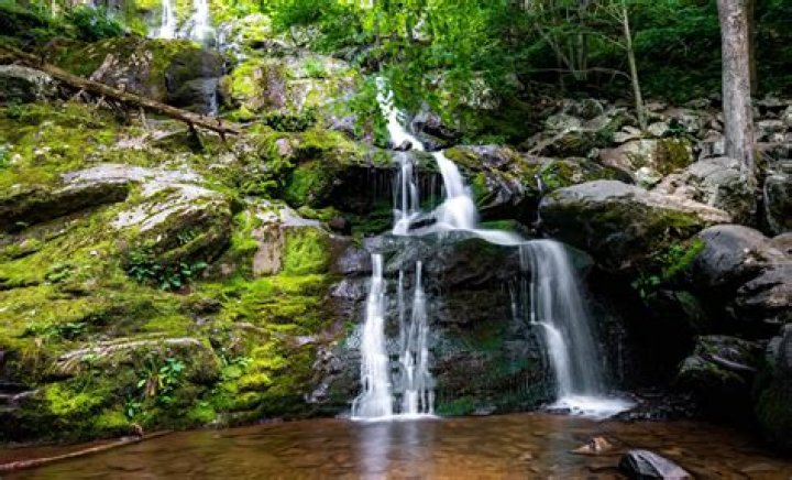 Are shenandoah trails open?