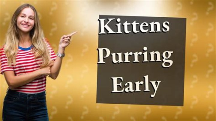 At what age do kittens start purring?
