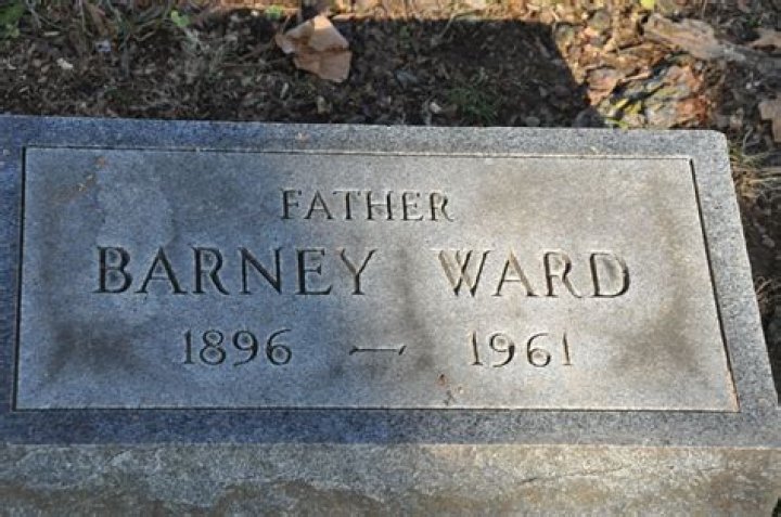 Barney Ward Age, Birthday, Wikipedia, Who, Nationality, Biography