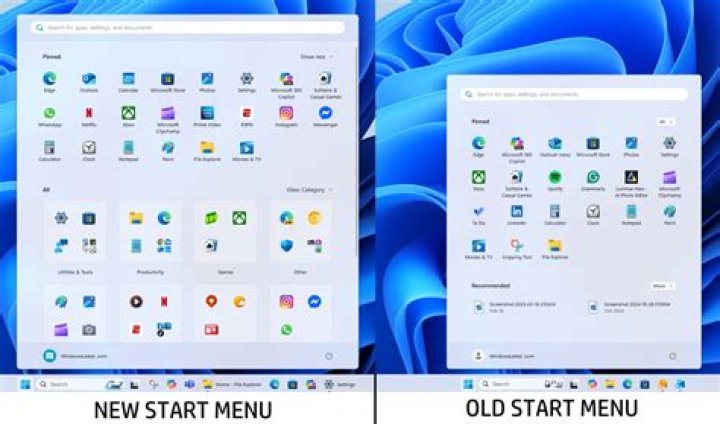 Can't search windows 10 start menu?