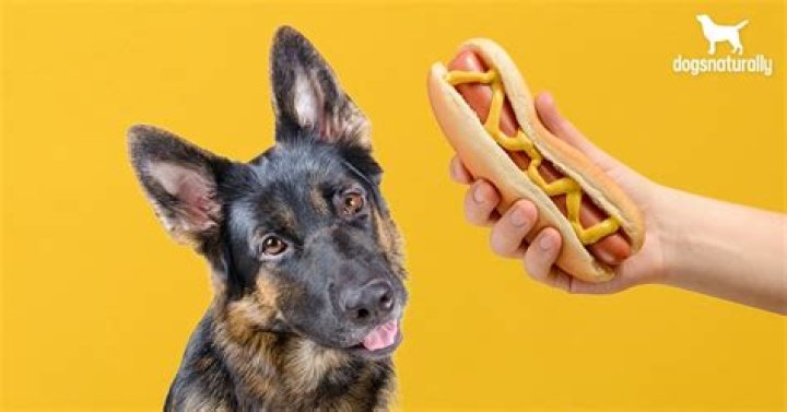 Can dogs eat frankfurters?