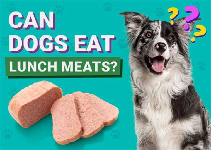 Can dogs eat tracheas?