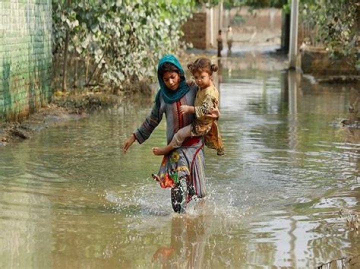 
Catastrophic floods leave millions at risk of diseases in Pakistan 