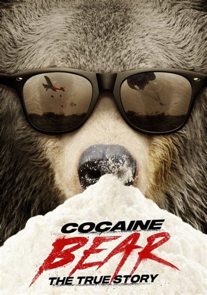 
Cocaine Bear true story explored 