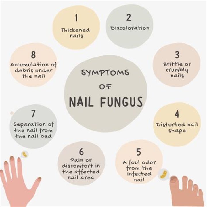 Could cancer be a fungus?