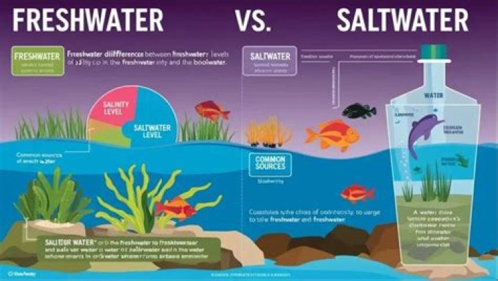 Could elodea live in a saltwater environment?