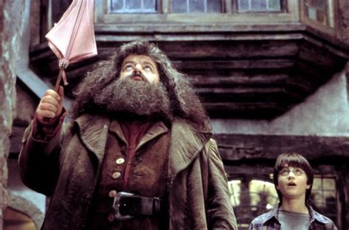 
Daniel Radcliffe Remembers ‘Incredibly Funny’ Robbie Coltrane: ‘Very Sad He’s Gone’ 