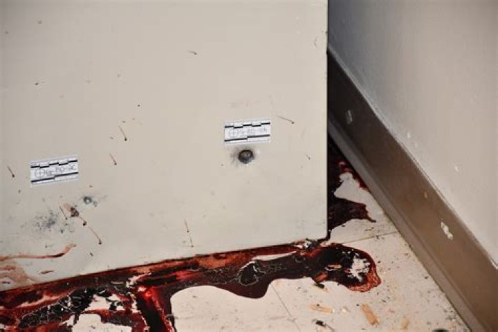 
Did Robb Hanrahan Passed Away From A Heart Attack? Journalist’s Death Cause Explored 