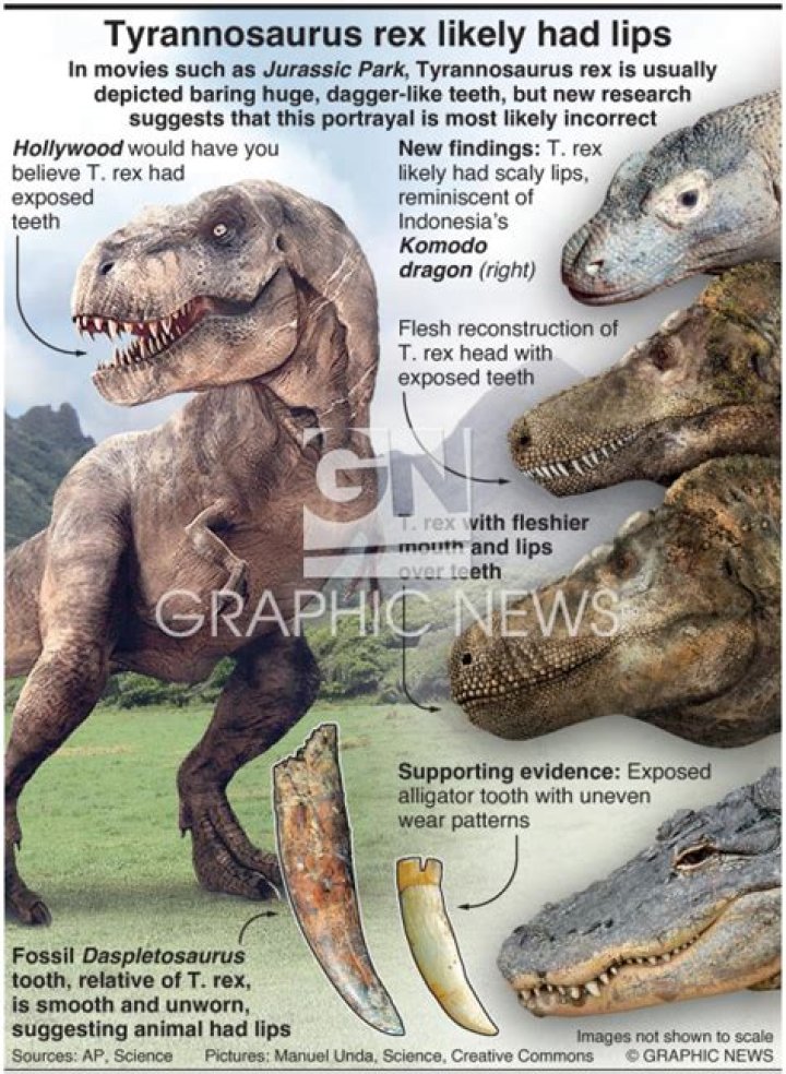 Did t rex have a septic bite?
