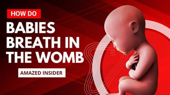 Do babies practise breathing in the womb?