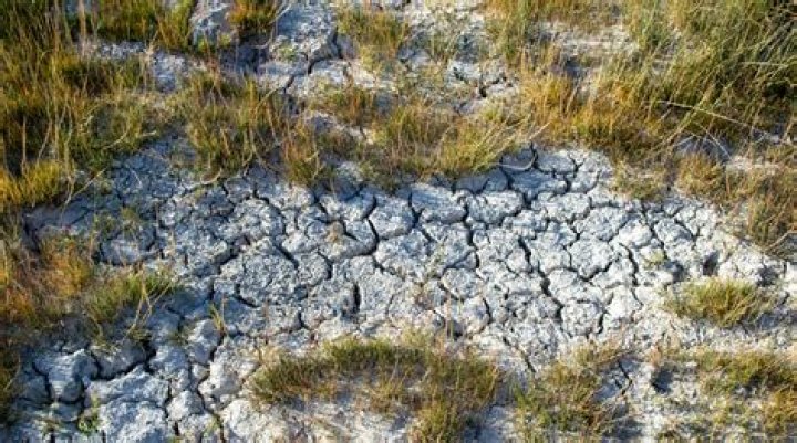 Do cars contribute to global warming?