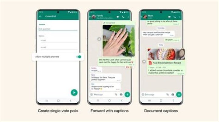 Do catfishes use whatsapp?