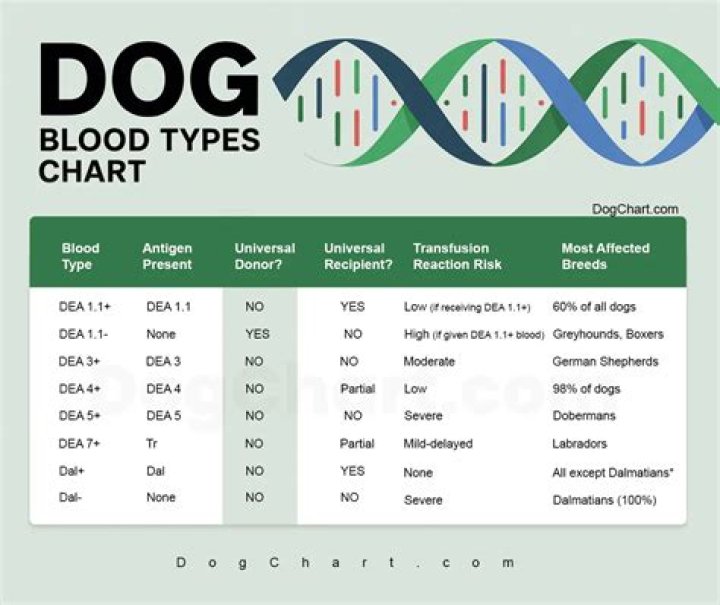 Do dogs have blood types?