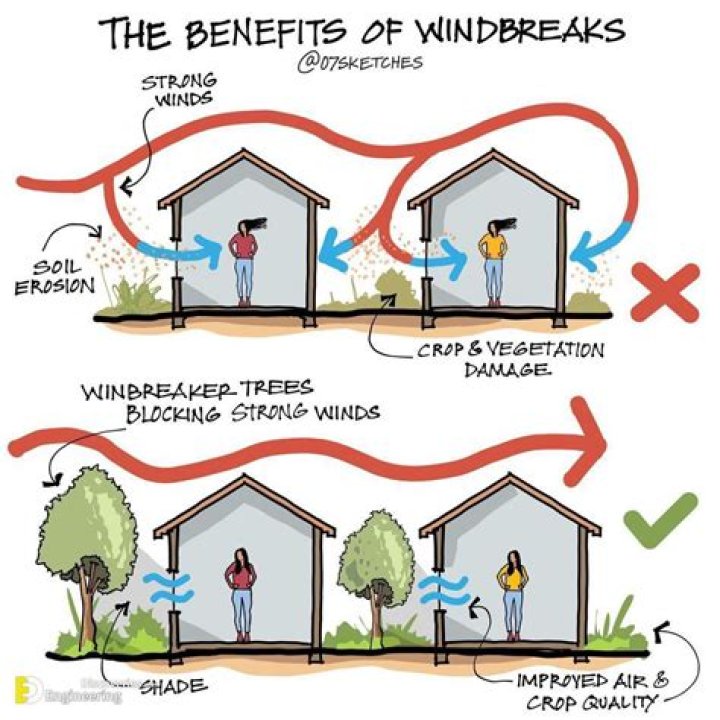 Do i need windbreaks?