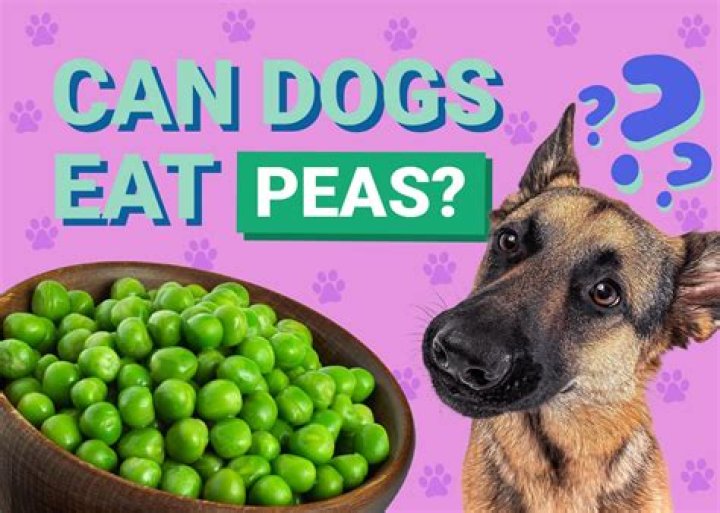 Do older dogs eat peas?