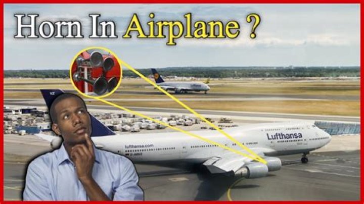 Do planes have horns?
