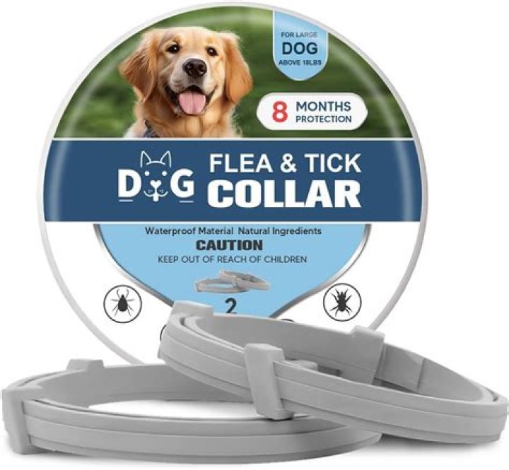 Do tick collars kill ticks?