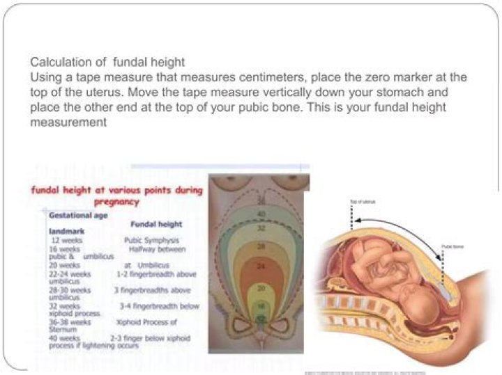 Does fundal height change when baby drops?