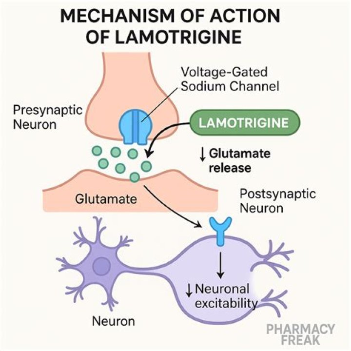 Does lamotrigine cause weight gain?