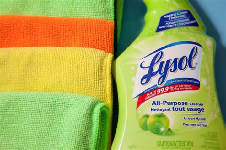 Does lysol kill dust mites?