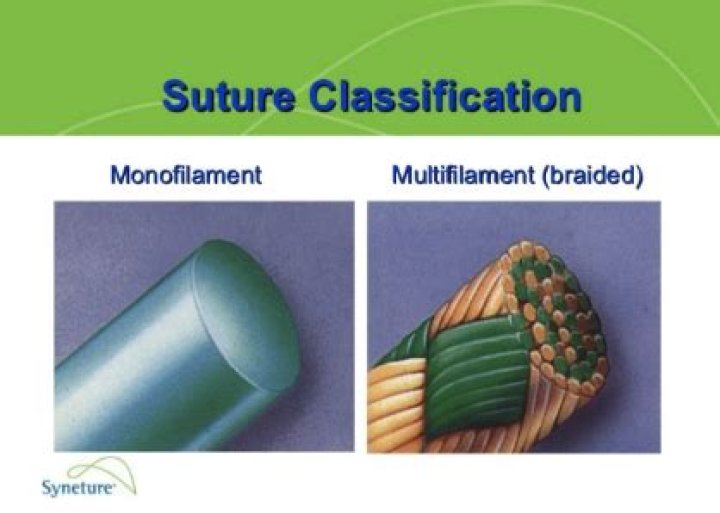 Does monofilament line stretch?
