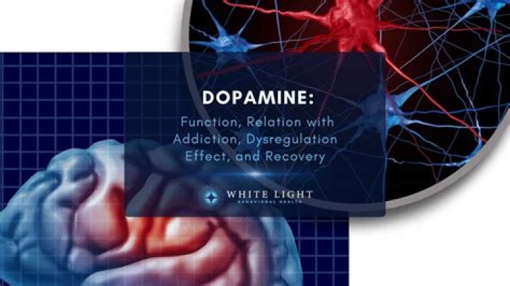 Does socialising release dopamine?