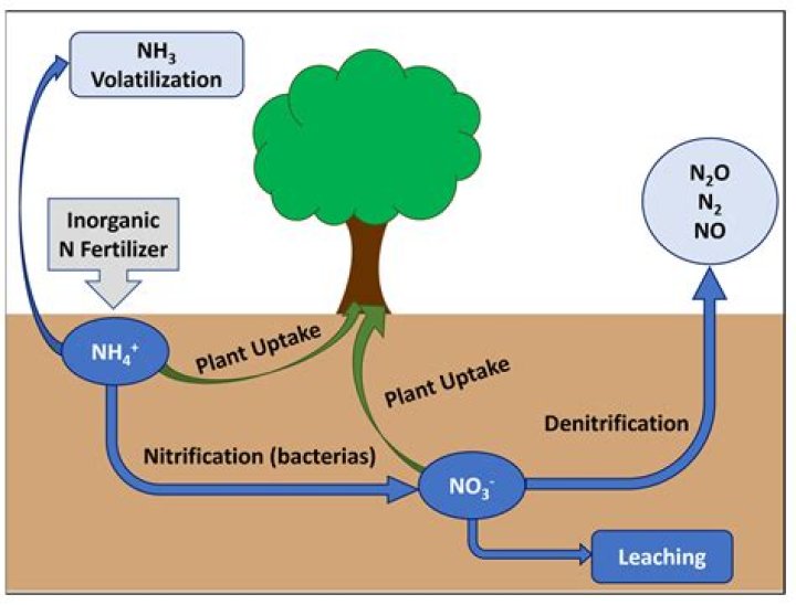 Does trisodium phosphate kill plants?