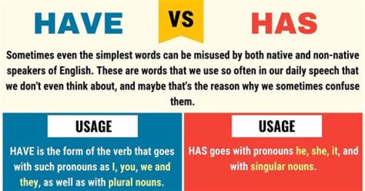 Has and have use?