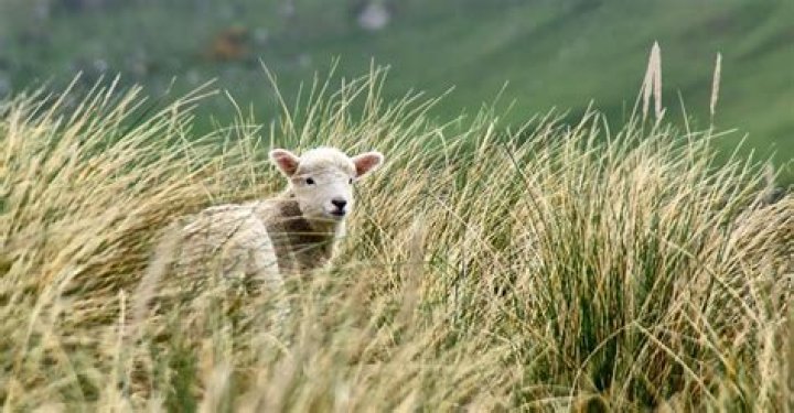 Has led astray meaning?