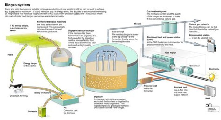 How biogas plant works?
