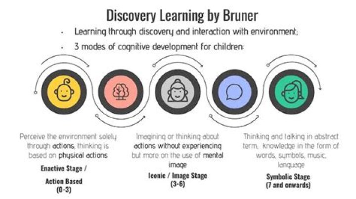 How do bruner and piaget's views differ?