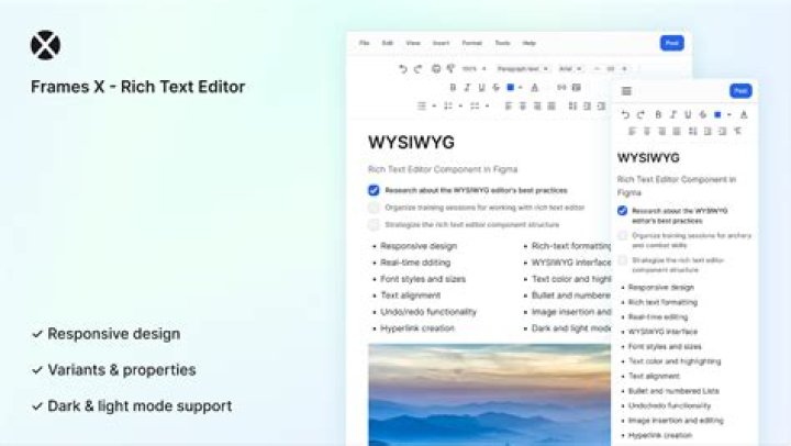 How does text editor differ from wysiwyg?