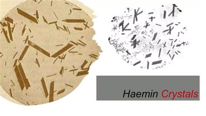 How haemin crystals are formed?