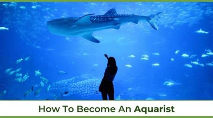 How long does it take to become an aquarist?