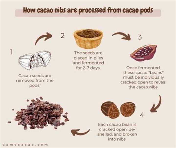 How much cacao nibs per day?
