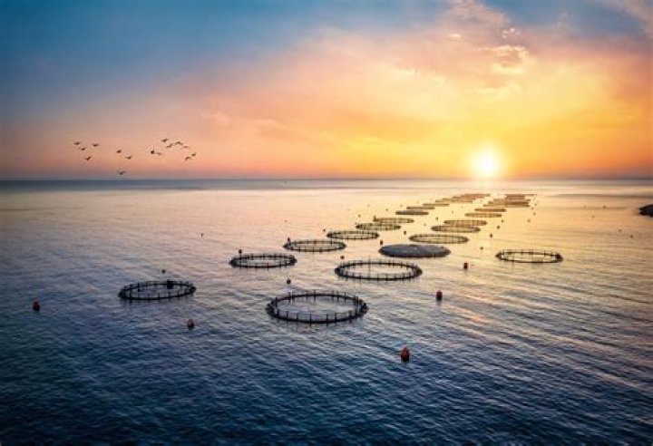 How to become a fish culturist?