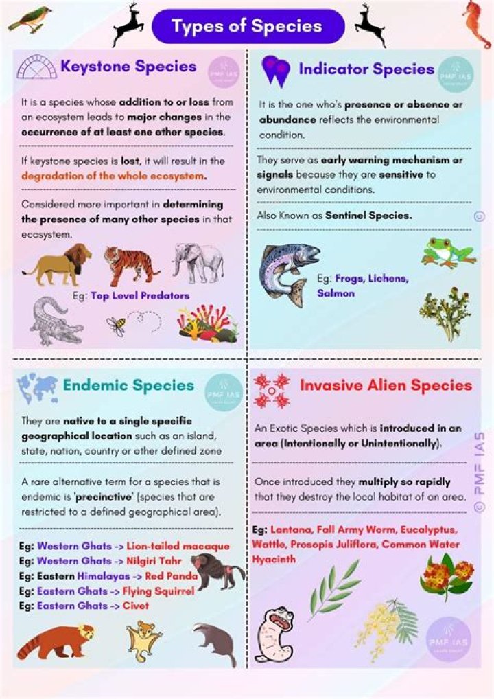 In a keystone species?