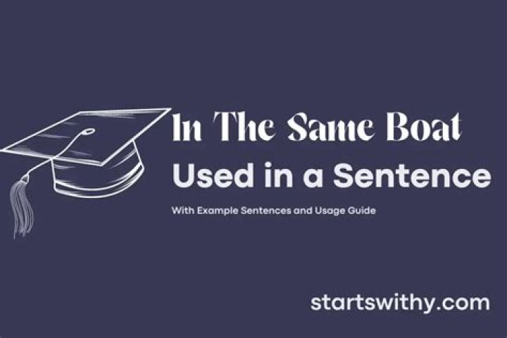 In the same boat sentence?