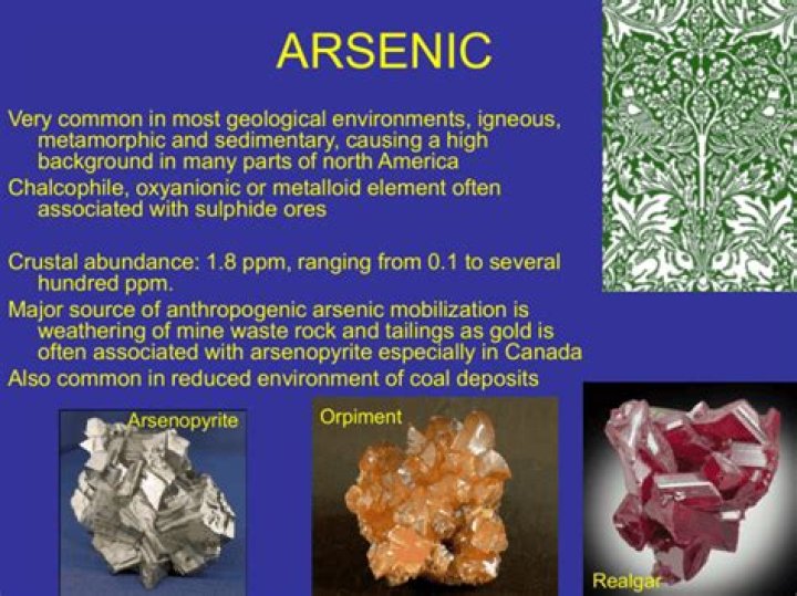 In what can you find arsenic?