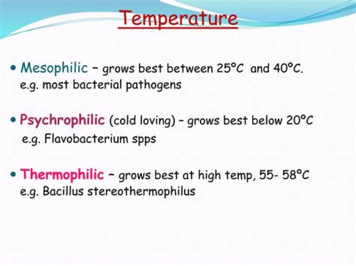 Is bacillus thermophilic or thermoduric?