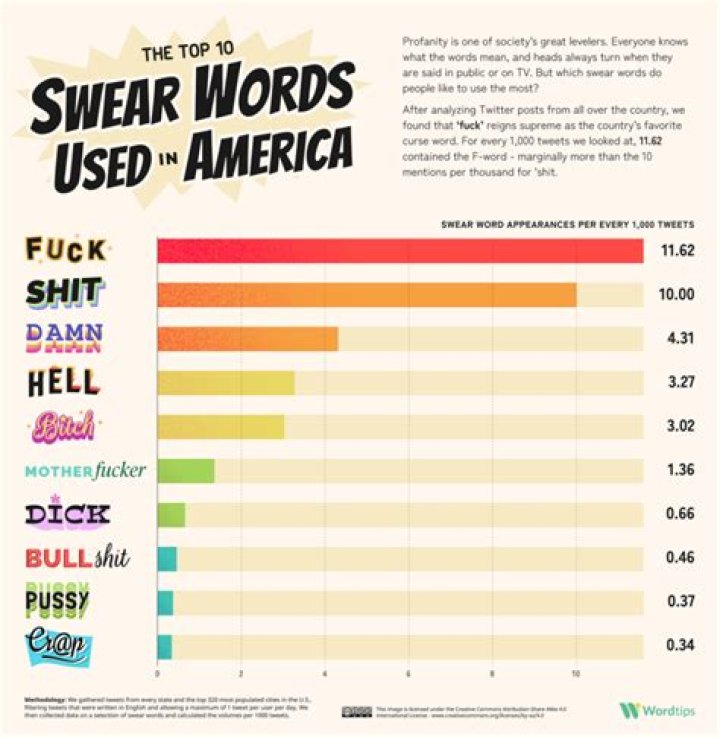Is bastard a bad word in america?