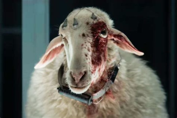 
Is Grant Baker Married? Edge of the Earth Cat – Wife Details Explored 