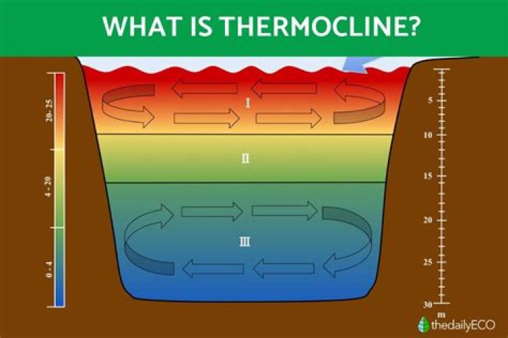 Is halocline the same as thermocline?