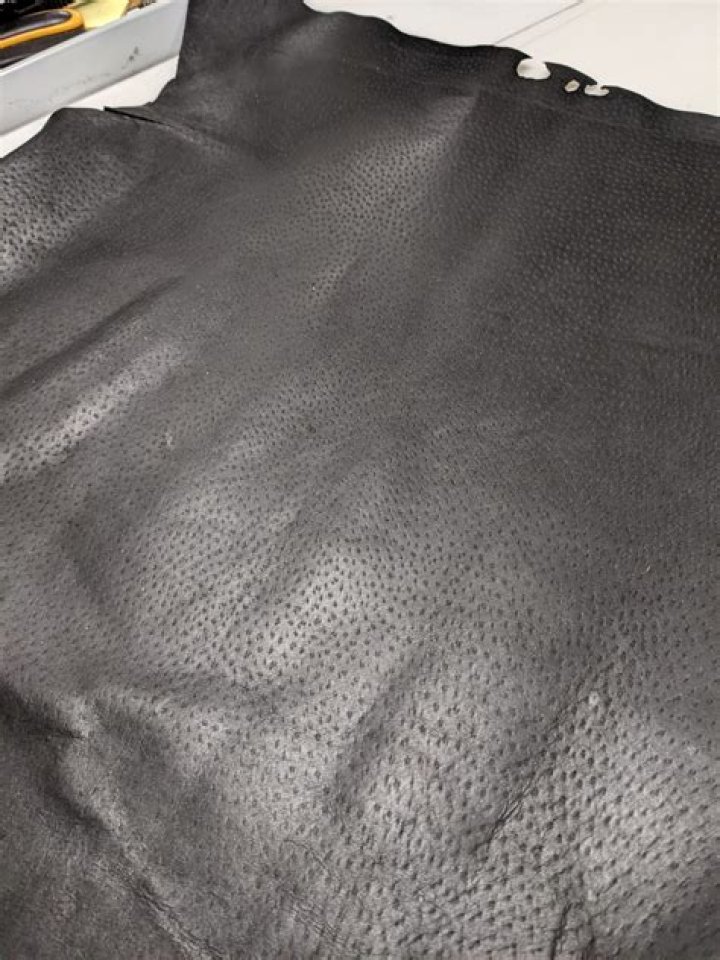 Is pig skin leather?