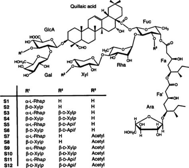 Is quillaia used for?