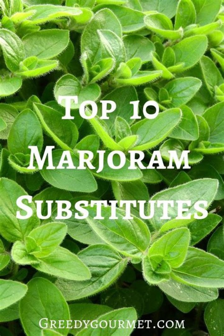 Is there a substitute for marjoram?